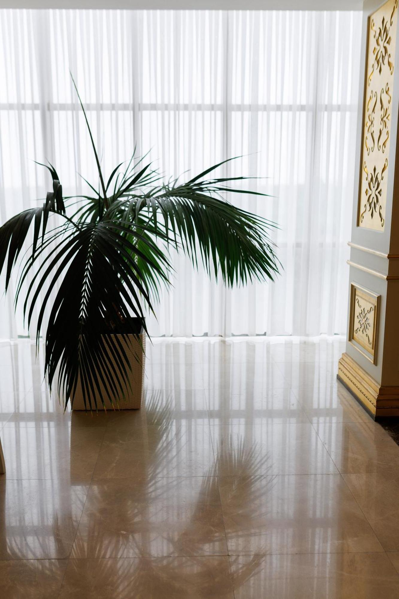 Ayan Palace Hotel Товуз Экстерьер фото